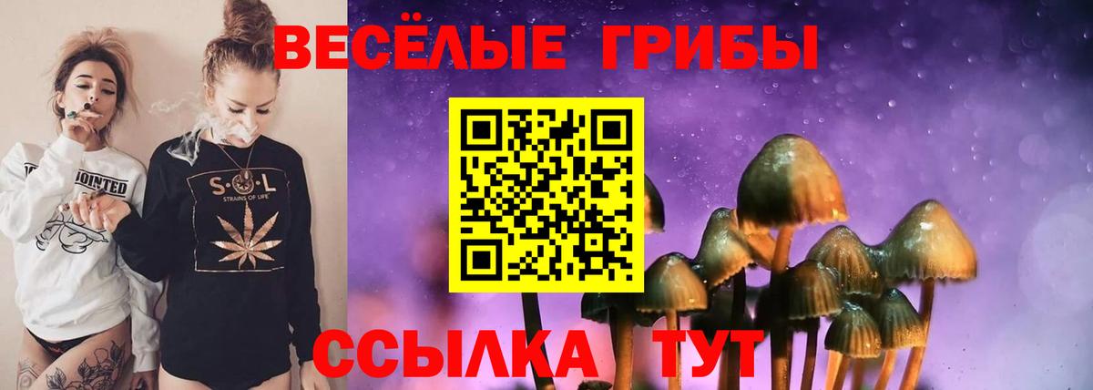 Псилоцибиновые грибы MAGIC MUSHROOMS  Вход с VPN  Тамбов  Псилоцибиновые грибы ЛСД 